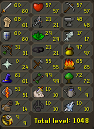 runescape - this picture is a picture of my runescape stats