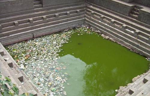 puja water from this - this pond water is green, full of germs