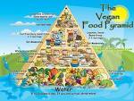 the vegan food pyramid - try vegetarian