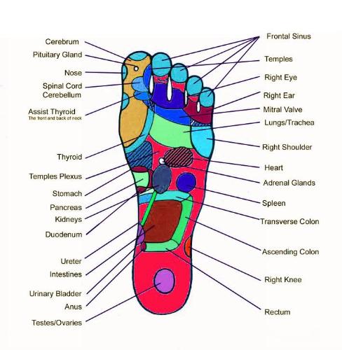 points on soles of feet - these points in soles of feet are very sensitive, press them to get relief