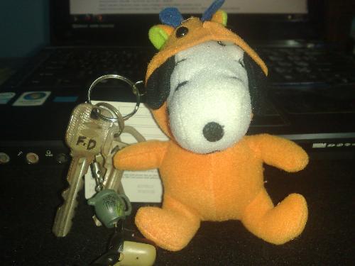 my lost peanut baby with our house keys  - my lost peanut baby with our house keys my lost peanut baby with our house keys
