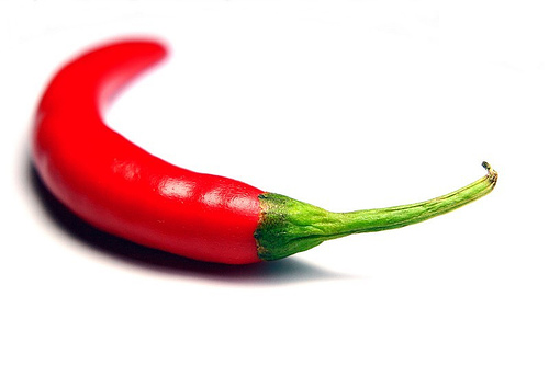 chilli pepper - little red chilli pepper