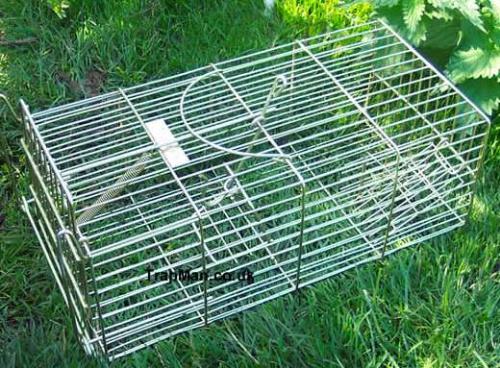 rat trap - rat trap can catch rats, once in they can't come out