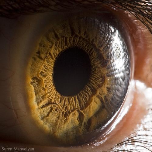 Detailed Shot Of The Human Eye - How interesting! A photographer took a macro shot of a human eye. You can see the structure very clearly, even if you just hold a flashlight to your eye and look in a mirror.