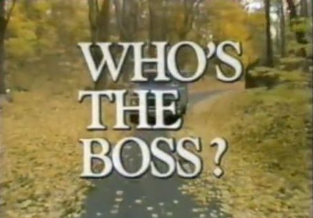 Who's the Boss - It starred Tony Danza, Judith Light and Alyssa Milano. I remember watching it when it was on.