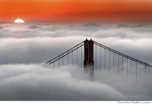 gogs - see the how fogs in usa