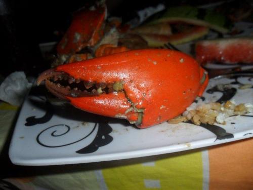 Crab leg - So enticing!