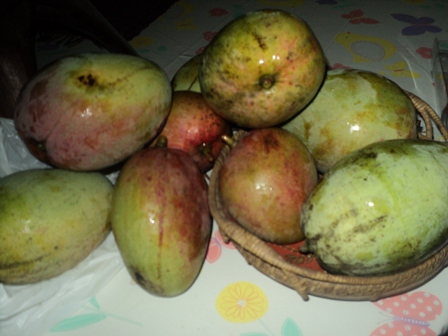 Apple Mangoes - Apple mangoes are best when eaten raw.
