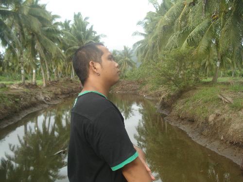 The land  - This was the land my uncle owns and it has sooo many coconut trees and even nipa plants in it. It is surrounded by it! and that is my hubby standing lol. 