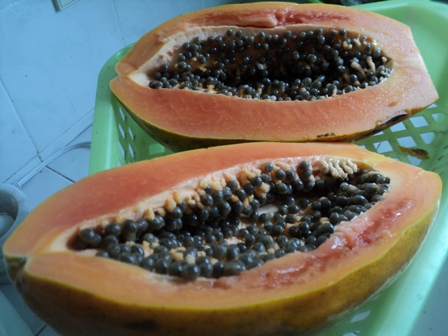 Papaya for Health and Beauty - Papaya is one of the most nutritious fruits in the world.