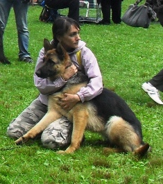 German Shepherd - at CACIB Sibiu 2011
