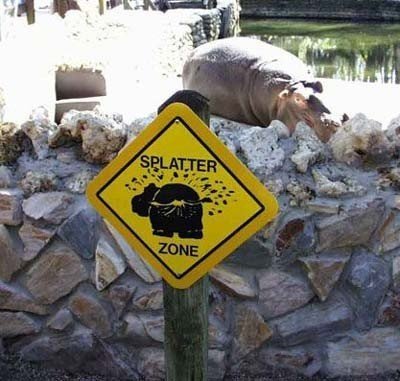 This is so true! - Look there is hippo in the photo and there is a sign by the hippo pen. When you read it you'll laugh your head off! it is so funny!