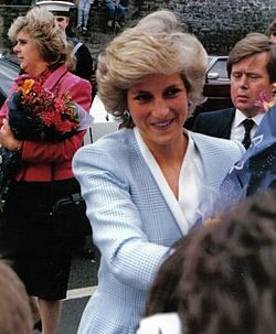 Princess Diana - The beautiful and loving princess of Wales.