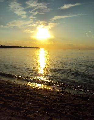 Sunrise - The Sun Shines