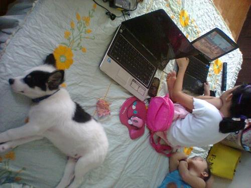 My Sachi - Sachi sleeping on the bed with baby lou and lyca..