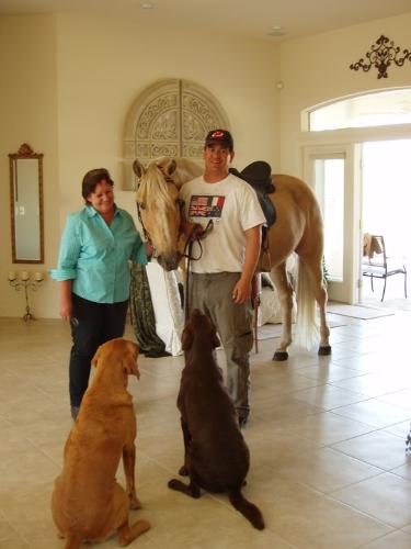 In the house! - The horse is Ivory Pal,a Tennessee Walker with his owners and his best buds,the 2 dogs. Well trained horse!