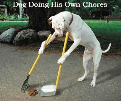 dog doing his own chore - The obvious and fair solution to the housework problem is to let men do the housework for, say, the next six thousand years, to even things up. The trouble is that men, over the years, have developed an inflated notion of the importance of everything they do, so that before long they would turn housework into just as much of a charade as business is now. They would hire secretaries and buy computers and fly off to housework conferences in Bermuda, but they'd never clean anything. ~ Dave Barry