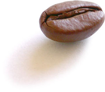 Bean - A single coffee bean.