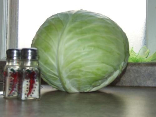 Cabbage - Cabbage for cabbage rolls