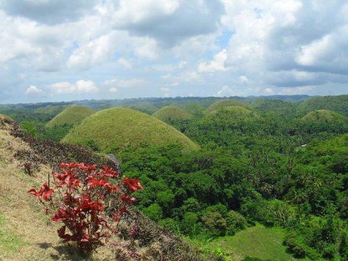Chocolate Hills - Bohol's pride