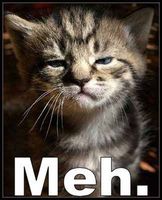 meh.. - meh.. can't be bothered meh.. - meh.. can't be bothered