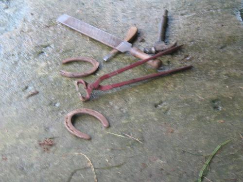 Tools - Tools a farrier will use to to trim and shoe horses hooves with.