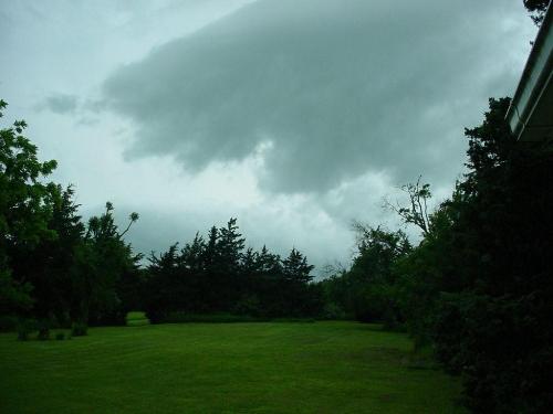 my backyard - looking west from the back door