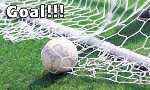 goal - goal
