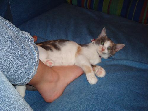 My Baby Kitten! - She&#039;s getting so big...