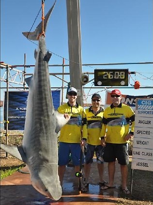 Tiger Shark - Caught by an angler during the recent Dampier Classic in Australia by Brett Sinclair with a 13 pounds breaking strength line.