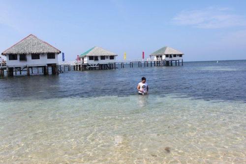 Beautiful beach - White Sand Paradise