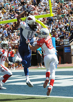 Larry Fitzgerald - The Arizona Cardinals WR in the 2009 Pro Bowl.