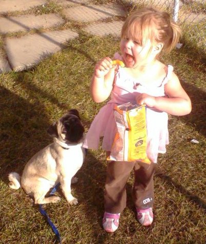 My Daughter and pug Mr Man - He is just looking right up at the cheezie just wishing that there was a way that he could possibly jump that high ... lol!