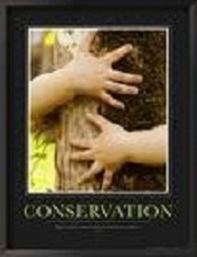 conservation - Let us try and conserve our nature.  Trees are our lifeline. They have the right to live and protecting them is our duty