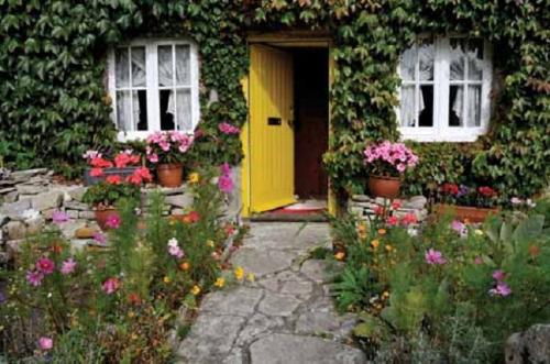 A lovely cottage - Picture perfect cottage and the lovely garden..