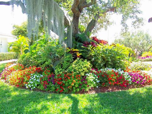 Lovely... - A beautiful tropical garden
