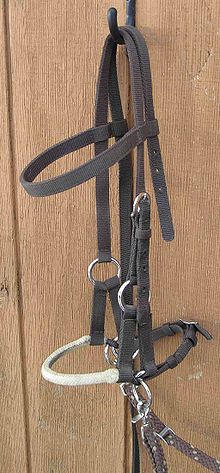 Side Pull Bridle - it is a bitless bridle. Instead of pulling the nose of the horse you pull on the side of the horses face.