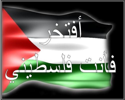 palestine - free for palestine