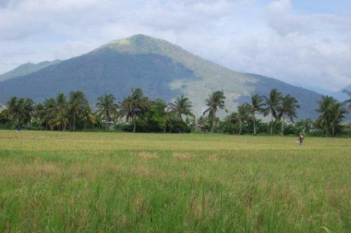 Mountain View - A Mountain from Afar