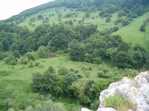 Cheile Nerei - Romania - Nice landscape in Cheile Nerei