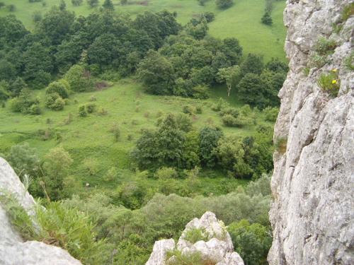 Cheile Nerei - Romania - Nice landscape in Cheile Nerei