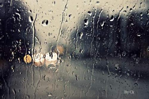 Rainy day - Photo Gallery