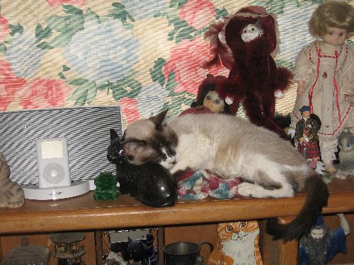 Star on a nick nack shelf - yes, that's a very hard pillow