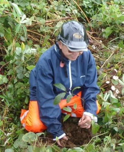 Tree Planting - Go green