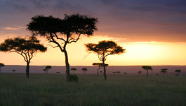 African Sunset - The beautifull sunsets we have here.