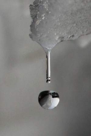Falling water - Melting isicle