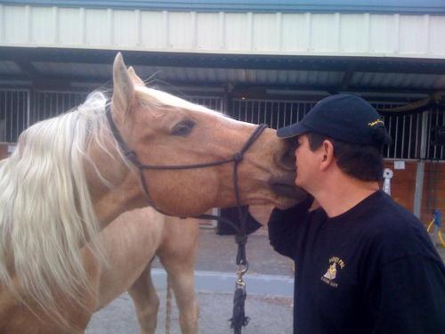 Friends - Ivory Pal and his owner. You an tell they are more then horse and owner!
