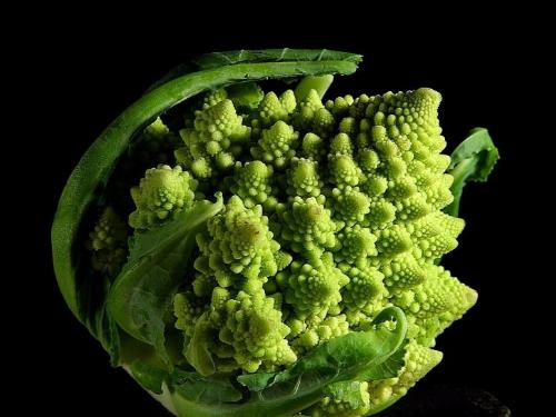 romanesco broccoli  - Beautiful and delicious 