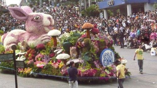 Panagbenga - SM float loaded with flowers