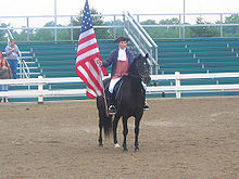 American Morgan Horse - Justin Morgan was the first Morgan horse breeder.